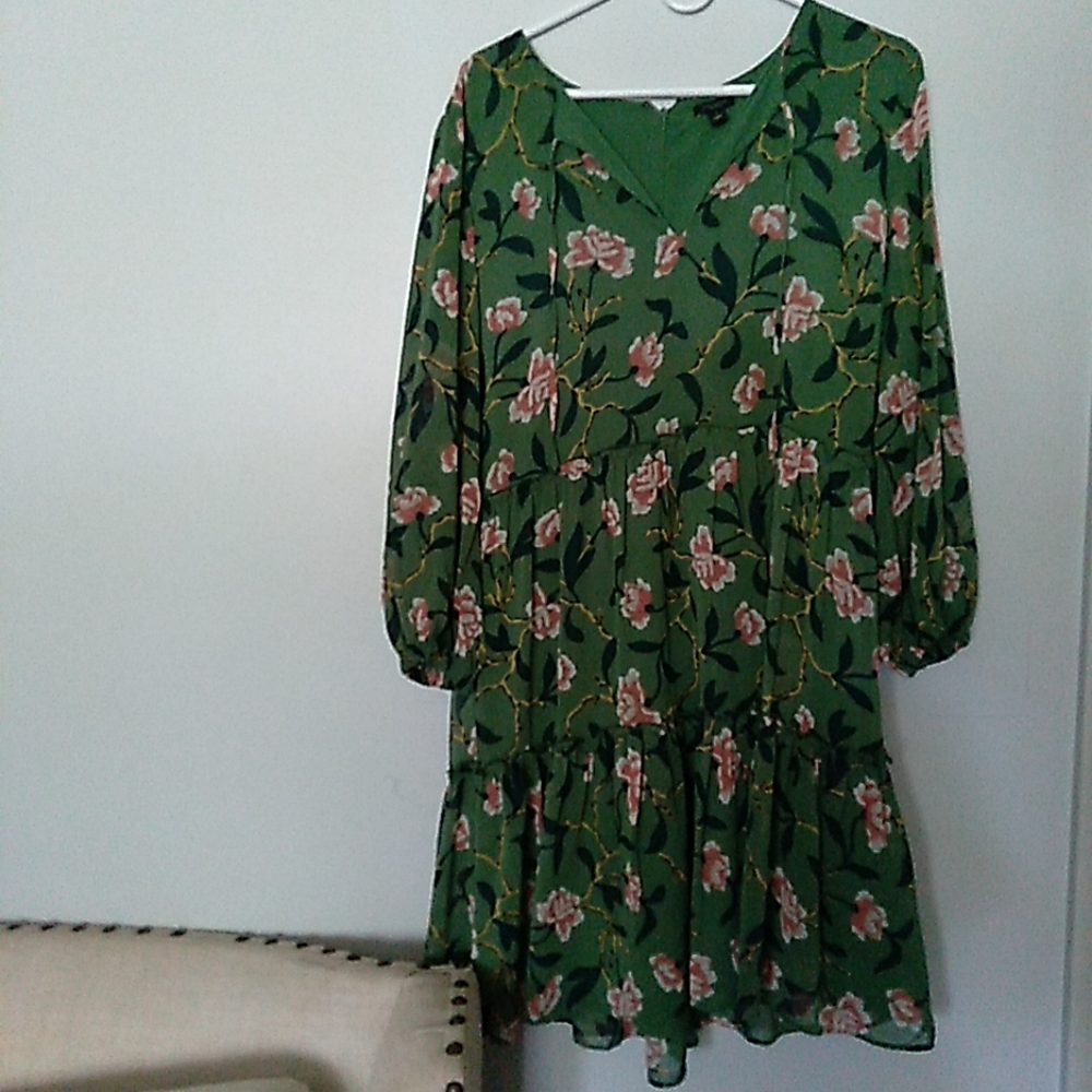 COPY - Ann Taylor | Green floral dress size 12